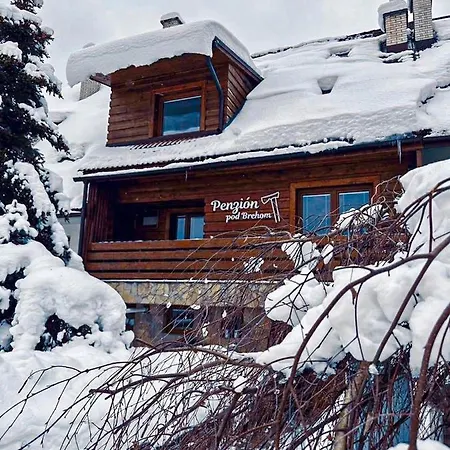 Pensionat Pod Brehom 3*