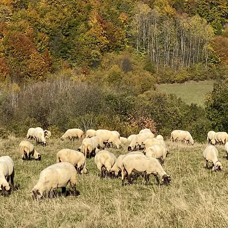 Pod Brehom 3* Terchová