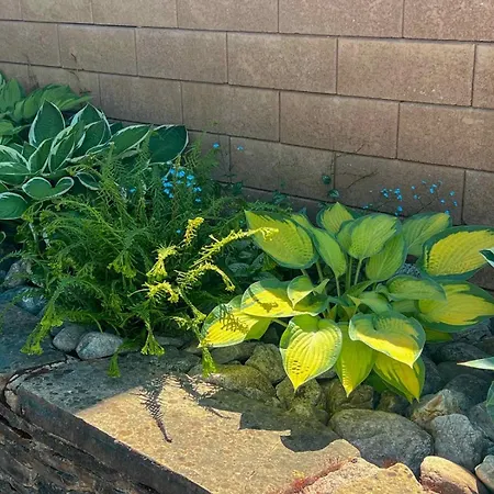 Affittacamere Pod Brehom