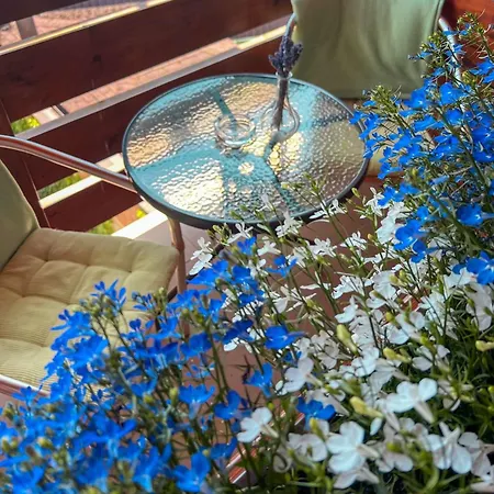 Pod Brehom 3* Terchová